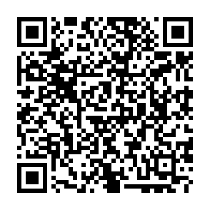 Lampion virus Código QR