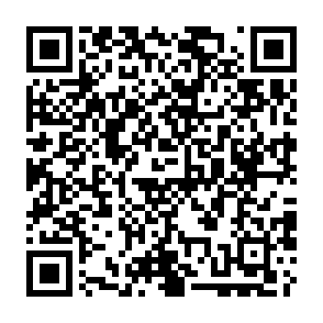 LLHN infostealer Código QR