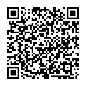LofyStealer ladrón de información Código QR