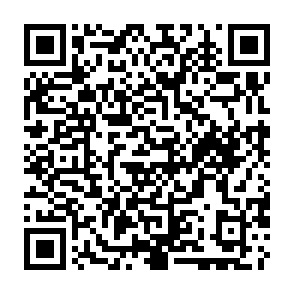 Lunex ladrón de datos Código QR