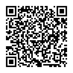 Virus MAIN Código QR