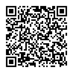 Marco information stealer Código QR