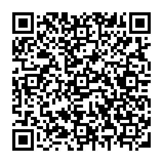 Messages Are On Hold estafa de phishing Código QR