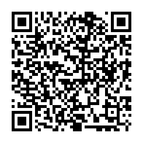 Miolab un programa de robo de información Código QR