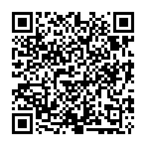 Monkey virus Código QR