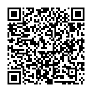 Virus NBLock Código QR