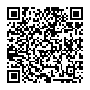 Virus Net Código QR