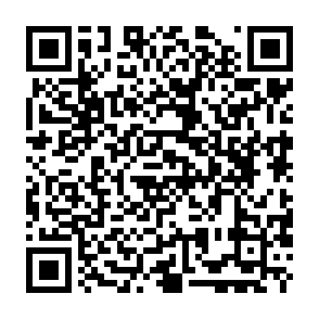 Anuncios de netchainspan.com Código QR