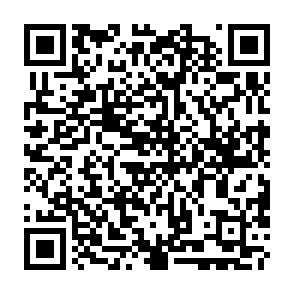 NimDoor ladrón Código QR