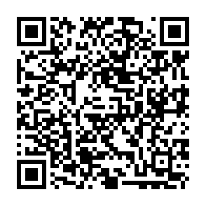 Cargador de malware Olymp Código QR