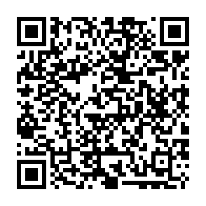 Own virus Código QR