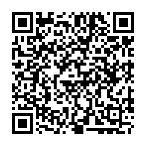 virus PamStealer Código QR