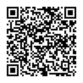 Virus Pdf (2) Código QR