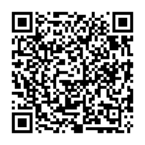 Phenol virus Código QR