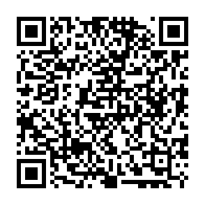 Puerta trasera Phexia Código QR