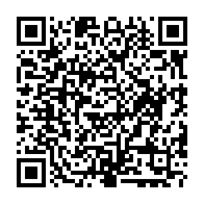 Troyano de acceso remoto PINHOLE Código QR