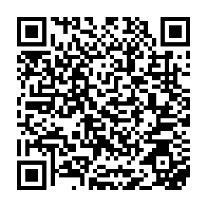 Anuncios de pointgrowthlab.com Código QR
