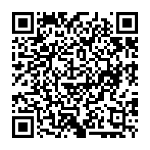 virus qTox Código QR