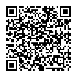 $Qubit Airdrop crypto drainer Código QR