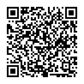 Virus Qv Código QR