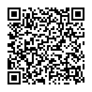 Raven el ladrón de información Código QR
