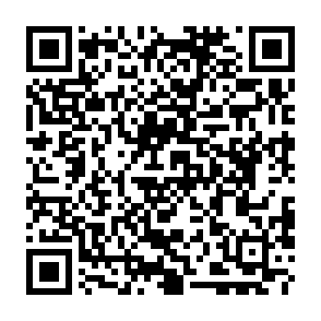 Virus Regulus Código QR