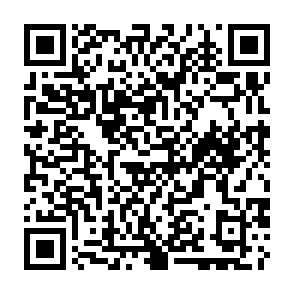 Remus information stealer Código QR