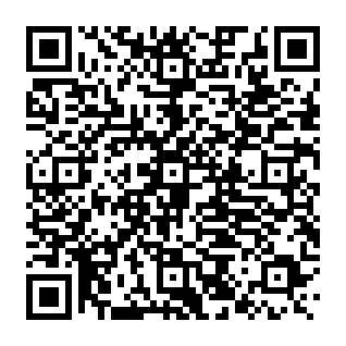 Revised Invoice estafa de phishing Código QR