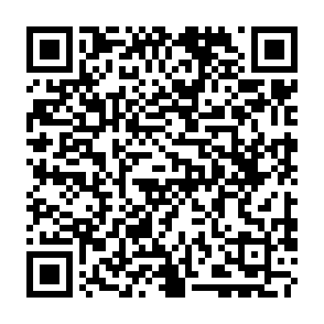 REVSTEALER infostealer Código QR