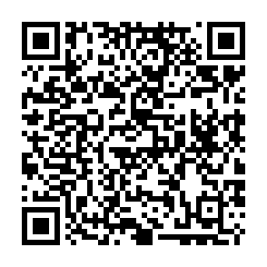 Virus Rex Código QR