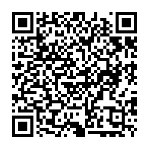 virus RIED Código QR