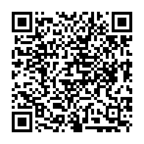 search-owl.com secuestrador del navegador Código QR