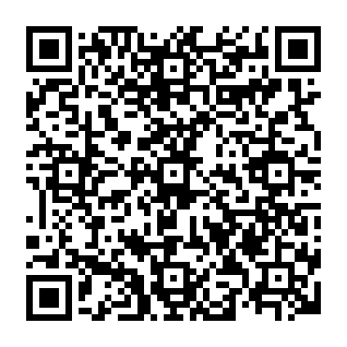 Security Challenges correo electrónico de phishing Código QR