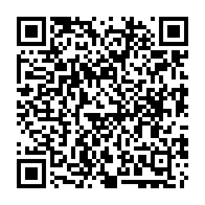 ShareX Airdrop crypto drainer Código QR