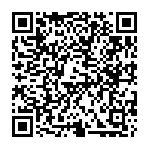 SharkStealer ladrón de información Código QR