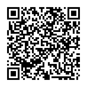 SHub programa para robar información Código QR