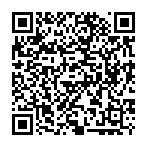 SHUYAL ladrón de información Código QR