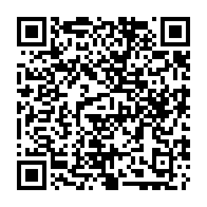 Troyano de acceso remoto SnakeBiteAgent Código QR