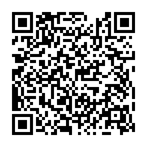SynkLoader virus Código QR