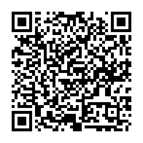 Virus TELEPUZ Código QR