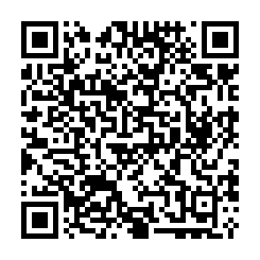 Falso TON Guard platform Código QR