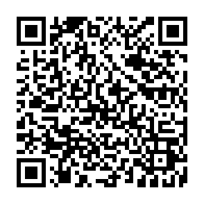 Ladrón de información Torg Código QR