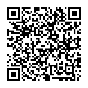 El ladrón de información Ultimate Código QR