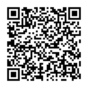 Vanta infostealer Código QR