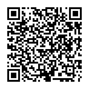 Anuncios de vantanetworktin.com Código QR
