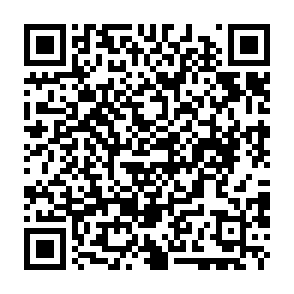 Vect virus Código QR