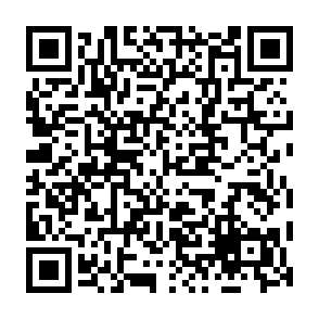 xAI Token Launch sitio web fraudulento Código QR