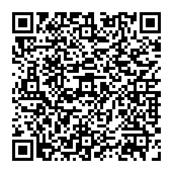 Your Domain Has Incorrect DNS Settings estafa de phishing Código QR