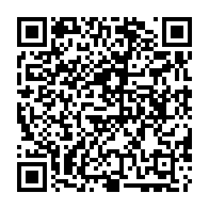 Zollo virus Código QR