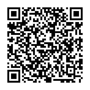 ZuRu puerta trasera Código QR